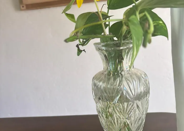 C'era Volta Pian del Voglio