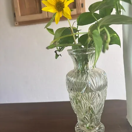 C'era Volta Pian del Voglio